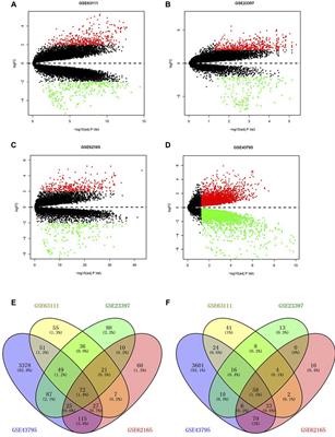 lncRNAs Functioned as ceRNA to Sponge miR-15a-5p Affects the Prognosis of Pancreatic Adenocarcinoma and Correlates With Tumor Immune Infiltration